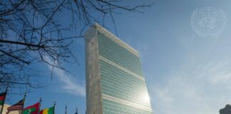 internationale Gedenktage von den Vereinten Nationen