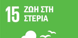 Εικονίδιο με ένα λευκό δέντρο και γρασίδι, με τρία πουλιά να πετούν πάνω του, σε πράσινο φόντο, συμβολίζοντας την ανάγκη διατήρησης της βιοποικιλότητας, προστασίας των δασών και καταπολέμησης της ερημοποίησης.