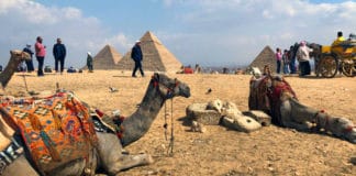 Καμήλες και ξεναγοί κάνουν δειάλειμμα