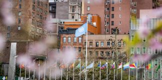 Copyright un flags