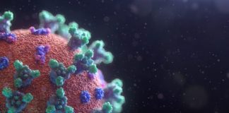 UNRIC Library Backgrounder: Novel Coronavirus (COVID-19) Image of a Virus used to illustrate #COVID19 backgrounder