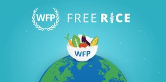 UN Games: Freerice (WFP)