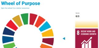 Wheel of Purpose SDG game