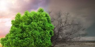 UN Visuals: Climate Change image