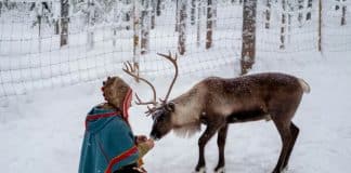 A person dressed in Sami traditional clothing and a reindeer