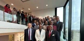 Harnessing the potential of business diplomacy for investment promotion in Africa, Caribbean and Pacific countries