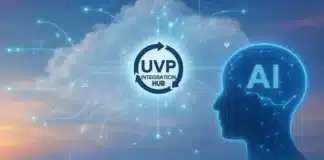 UNV: Four years of the Unified Volunteering Platform
