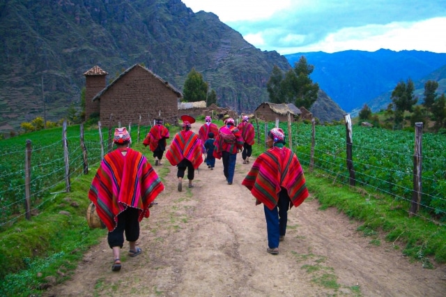 Los peruanos que habitan en los Andes han creado sistemas innovadores de cultivo a gran altitud