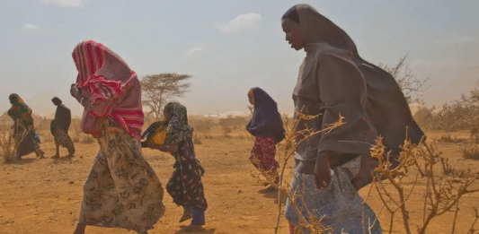 Refugiados somalíes-UNICEF-Jiro Ose