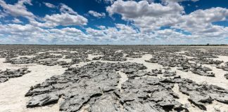 Climat : 2019 conclut la décennie la plus chaude Un désert à perte de vue