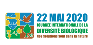 COVID-19 : notre santé est tributaire de la biodiversité Journée internationale de la diversité biologique