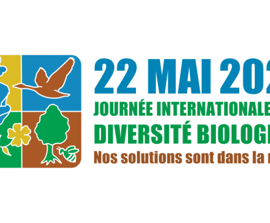 COVID-19 : notre santé est tributaire de la biodiversité Journée internationale de la diversité biologique