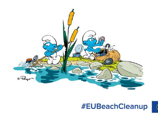 schtroumpf-beach-clean-up-2020-plages