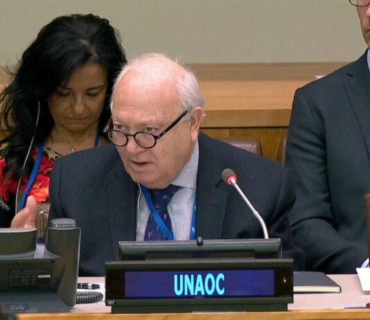 L’ONU condamne les actes de haine anti-musulmane à Nantes et Rennes alliance des civilisations