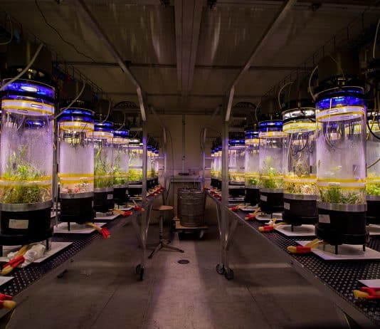 les laboratoires universitaires concoctent des solutions