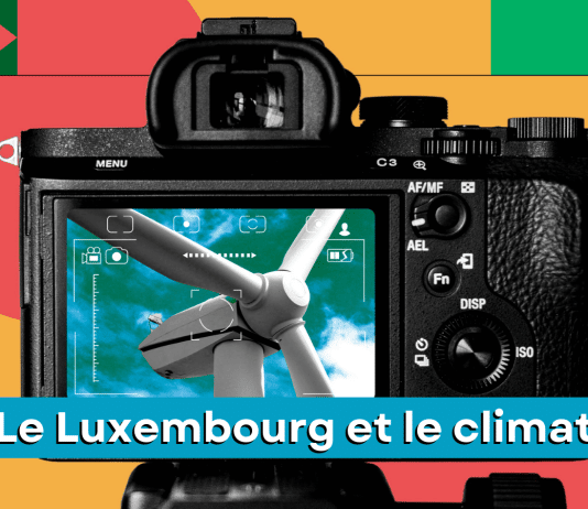 un appareil photo numérique, dans l'écran, on voit une éolienne.