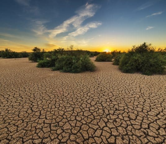 Préserver l’eau : un défi urgent mais pas impossible