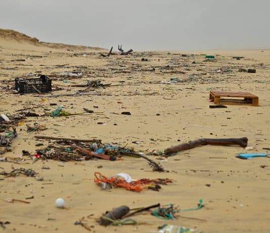 Pollution plastique