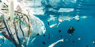 Réunion cruciale à Paris pour éliminer la pollution plastique déchets plastiques dans l'océan