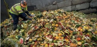 Montagne de déchets alimentaires. Chaque habitant de la planète gaspille en moyenne 79 kg de nourriture chaque année.