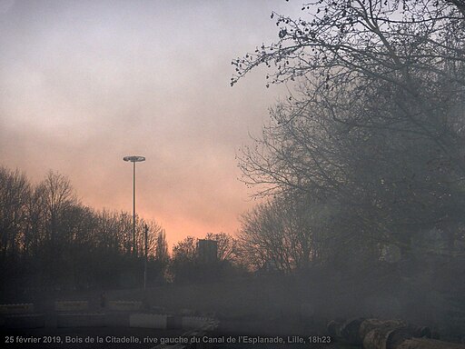 paysage assombrit par la pollution de l'air