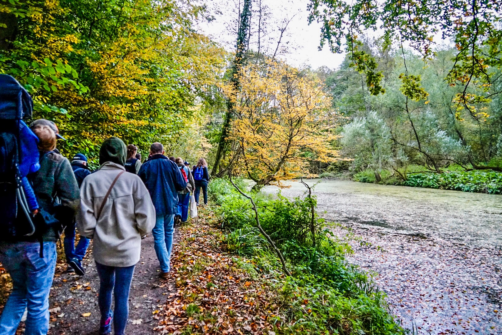 Sentier de l'ONU dans la forêt de Soignes