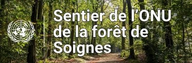 bannière web pour le sentier de la foret de soignes