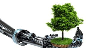 AI et environnement