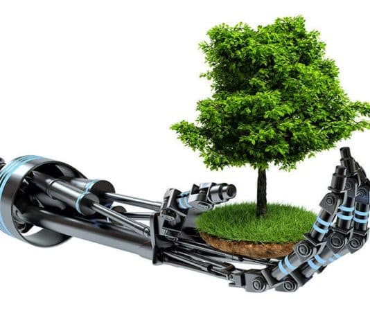 AI et environnement