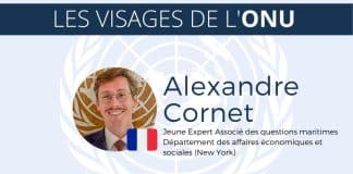 Alexandre Cornet, Les Visages de l'ONU