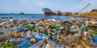 Mer de bouteilles et autres déchets plastique dans un port