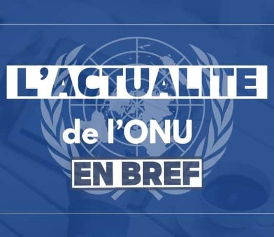 actualité de l'ONU en bref