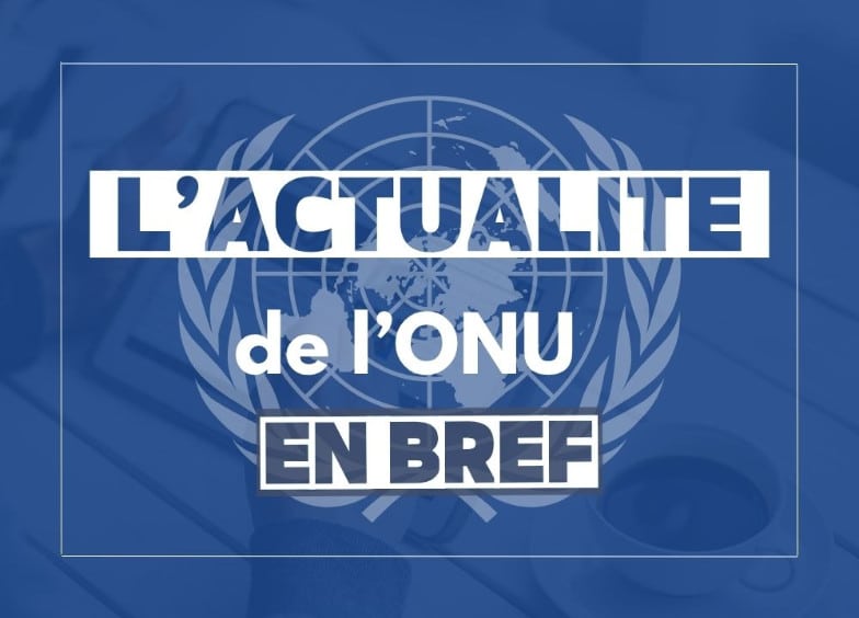actualité de l'ONU en bref