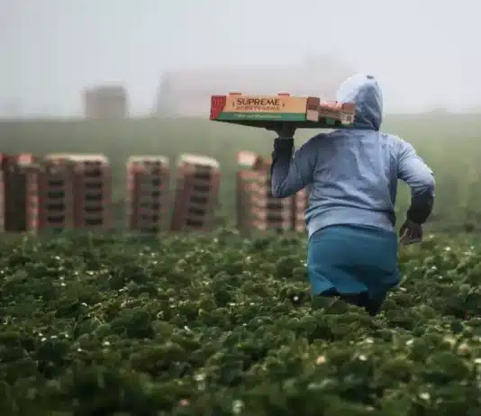 Formes modernes d’esclavage : 28 millions de personnes soumises au travail forcé et 138 millions d’enfants exploités