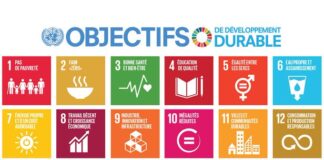 Objectifs de développement durable