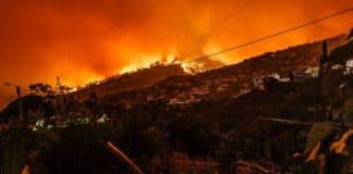 Records de chaleurs en juin, et un été caniculaire en Europe