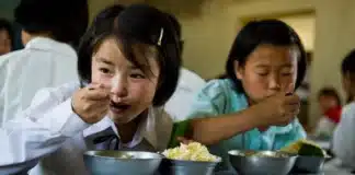 Corée du Nord : près de la moitié de la population est sous-alimentée Enfants en Corée du Nord