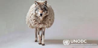 fraude-onudc