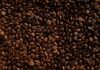 grains de café