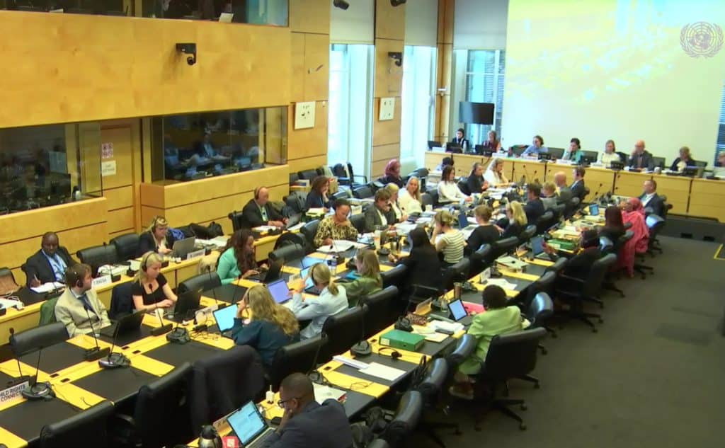 The Committee on the Rights of the Child