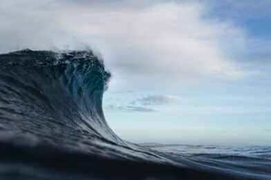 Alda: Mynd: Thomas Horig / Ocean Image Bank