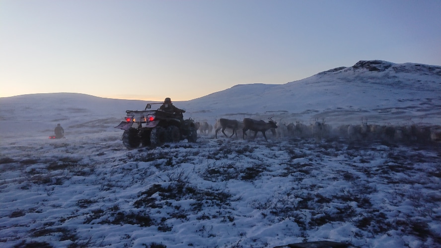 Víðs vegar um Sápmi eru hefðbundnir atvinnuvegir enn nátengdir samískri menningu, sjálfsmynd og þekkingu. Ljósmynd: Úr einkasafni