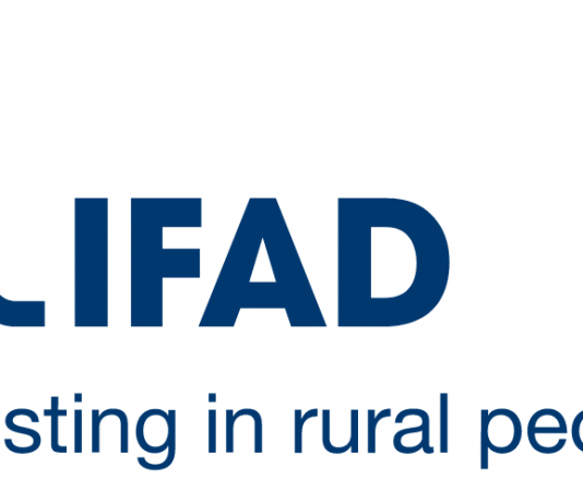 logo ifad