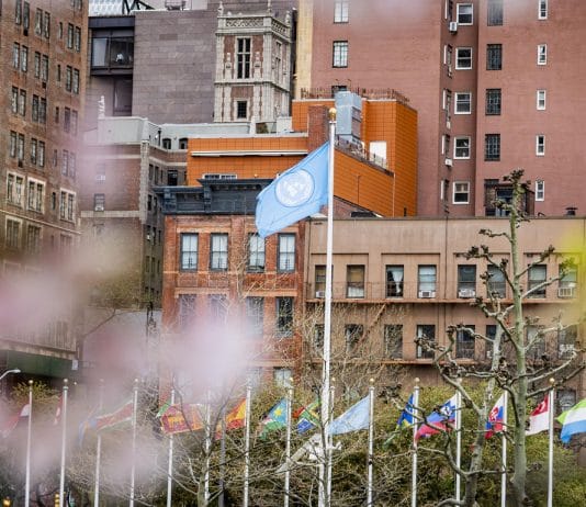 UN View & Flag