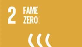 SDGs: Fame zero