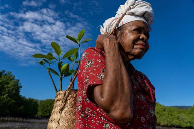 La COP26 segna il futuro dell’azione per il clima Una donna trasporta un cesto di piante