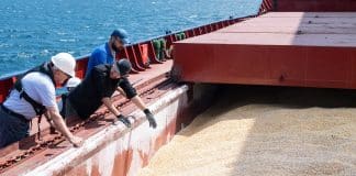 In this picture, there is a joint civilian inspection team