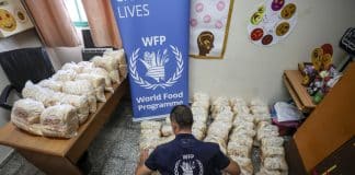 Distribuzione di cibo da parte del WFP in una scuola dell'UNRWA che è un rifugio designato in tempi di emergenza.