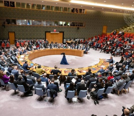Un'ampia panoramica della riunione del Consiglio di Sicurezza.