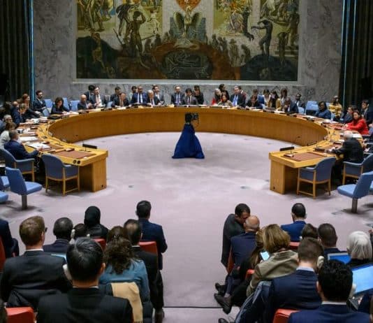 Gli Stati Uniti mettono il veto alla risoluzione su Gaza che chiedeva un immediato cessate il fuoco umanitario. UN Photo/Loey Felipe